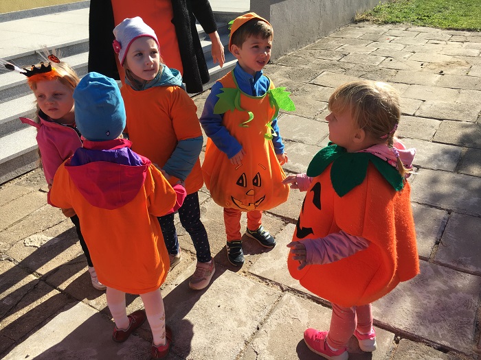 Zdjecie 17